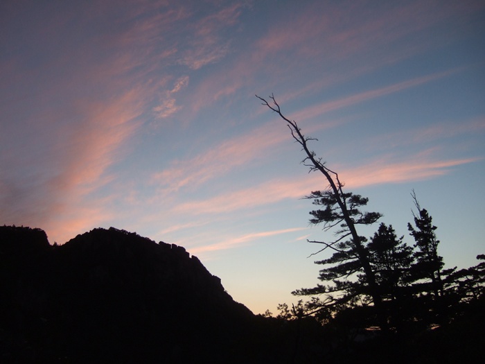 DSCF5608.JPG
