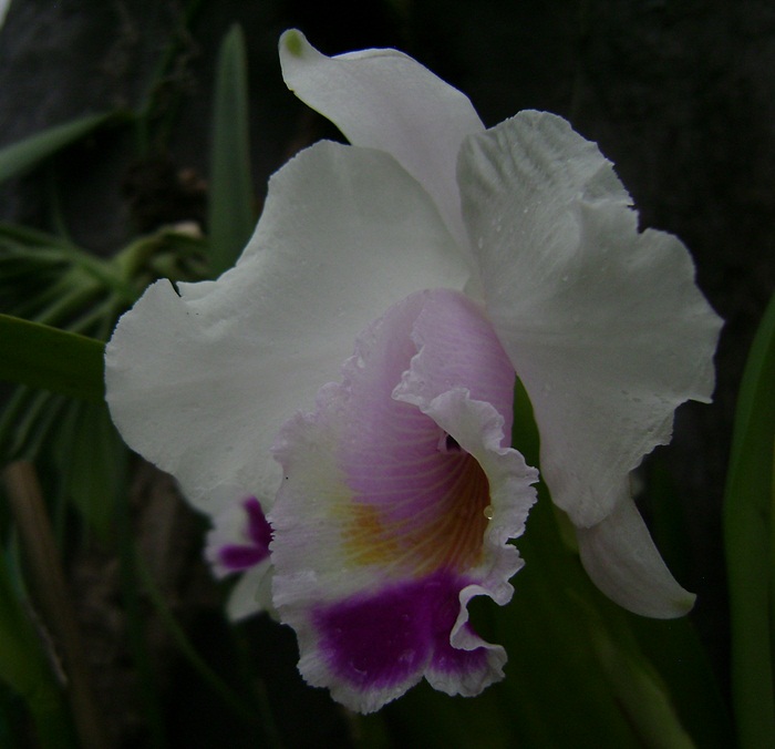 a-DSC06851.JPG