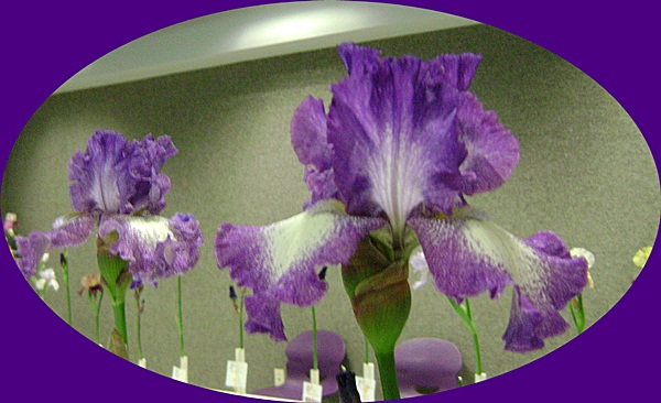 d-DSC04026.JPG