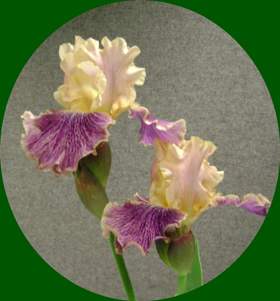 d-DSC04030.JPG
