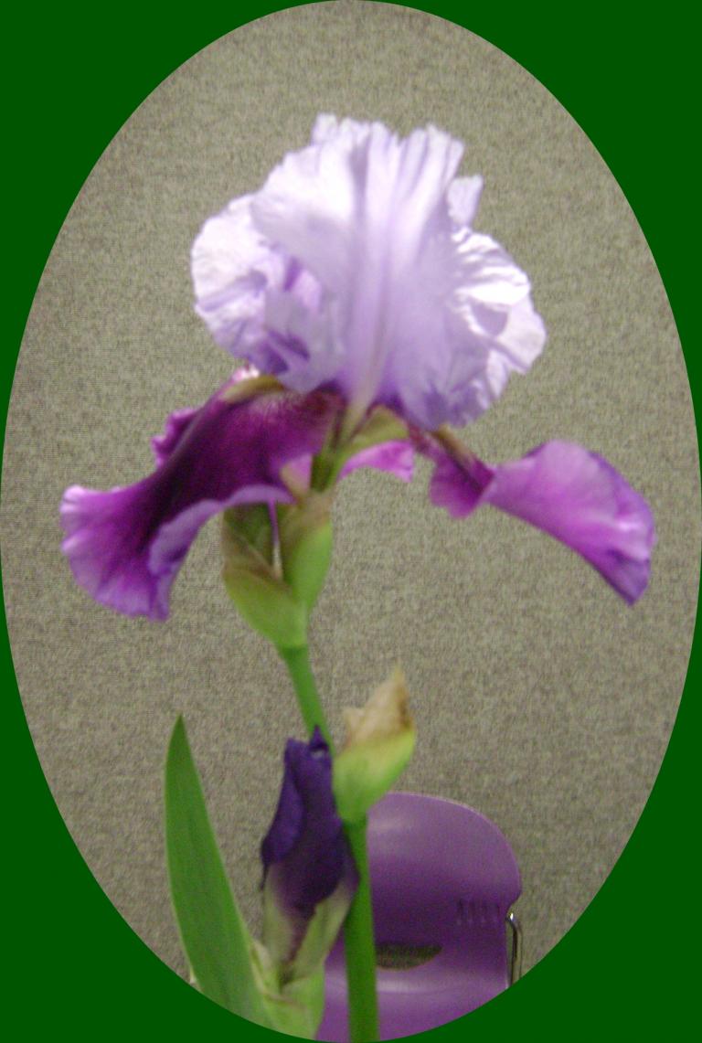 d-DSC04033.JPG