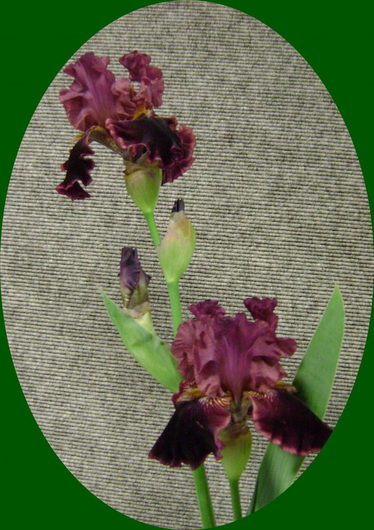 d-DSC04040.JPG