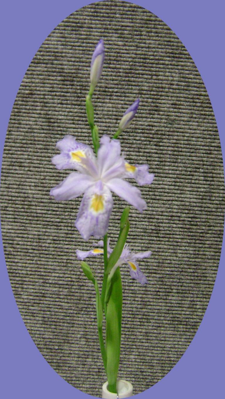 d-DSC04041.JPG