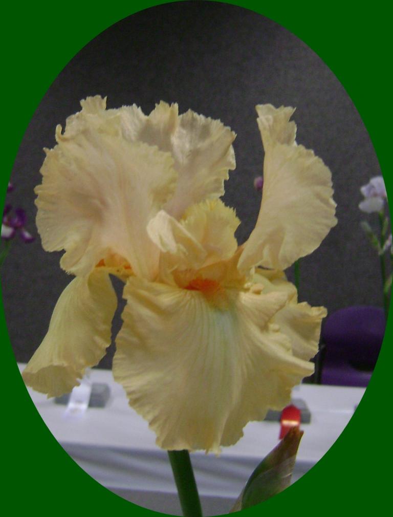 d-DSC04044.JPG