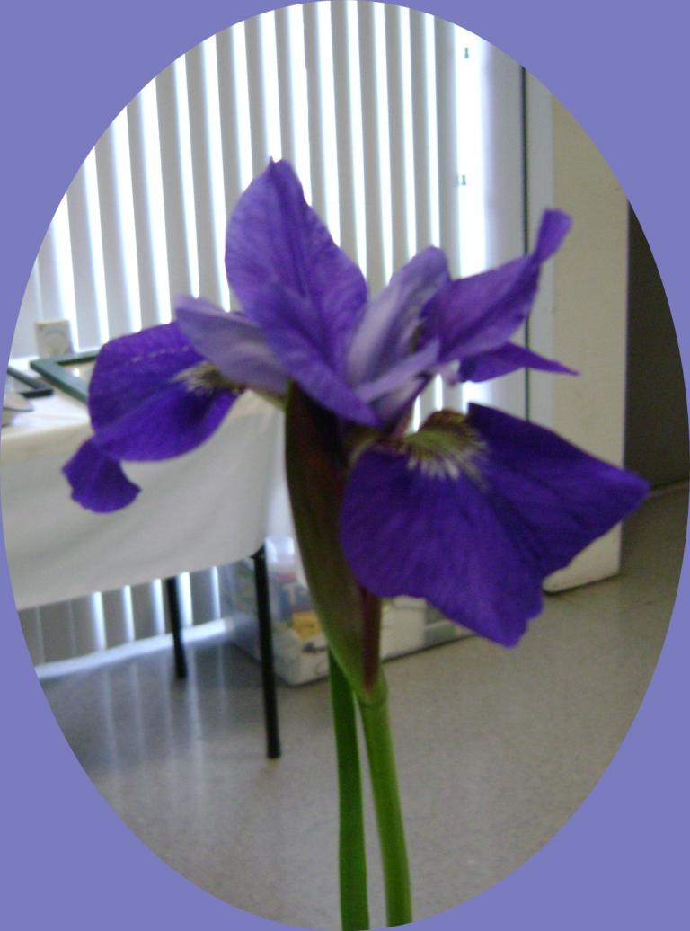 d-DSC04054.JPG