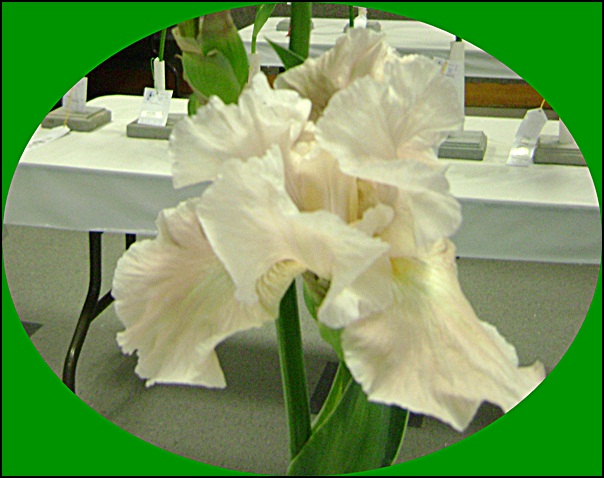 d-DSC04055.JPG