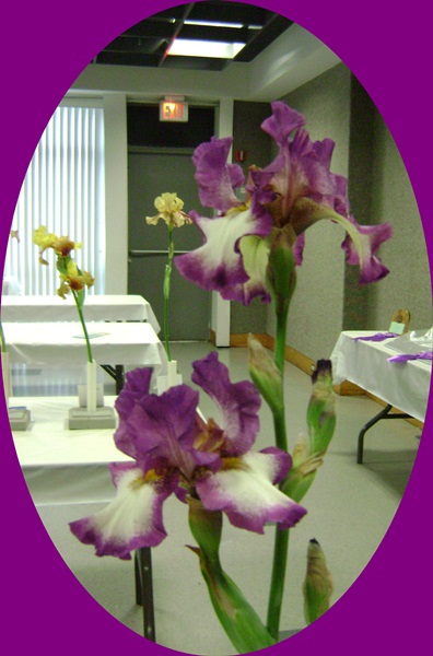d-DSC04080.JPG