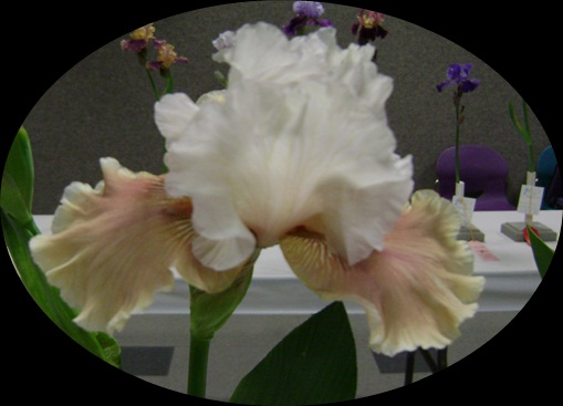 d-DSC04087.JPG