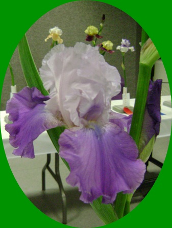 d-DSC04089.JPG