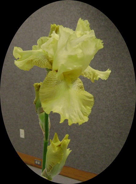d-DSC04097.JPG