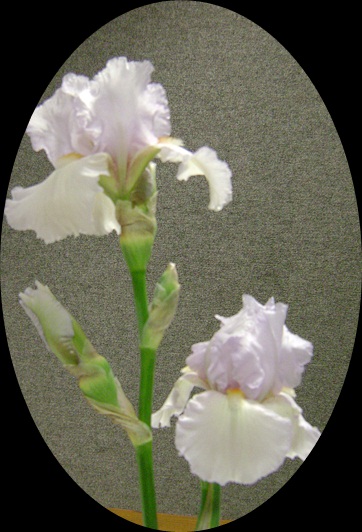 d-DSC04102.JPG