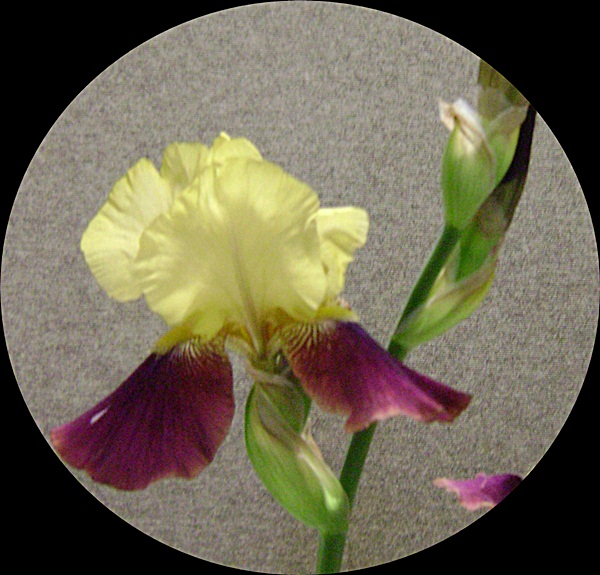 d-DSC04106.JPG