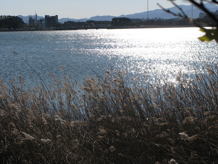 IMG_1889.JPG