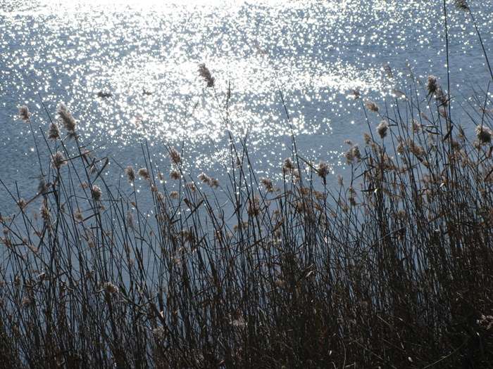 IMG_1896.JPG