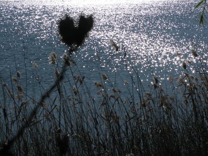 IMG_1897.JPG
