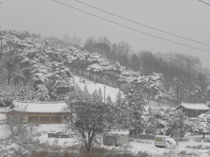 DSCN1294.JPG