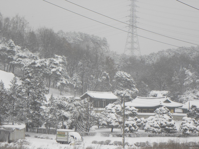 DSCN1295.JPG