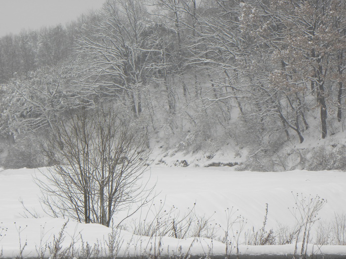 DSCN1296.JPG