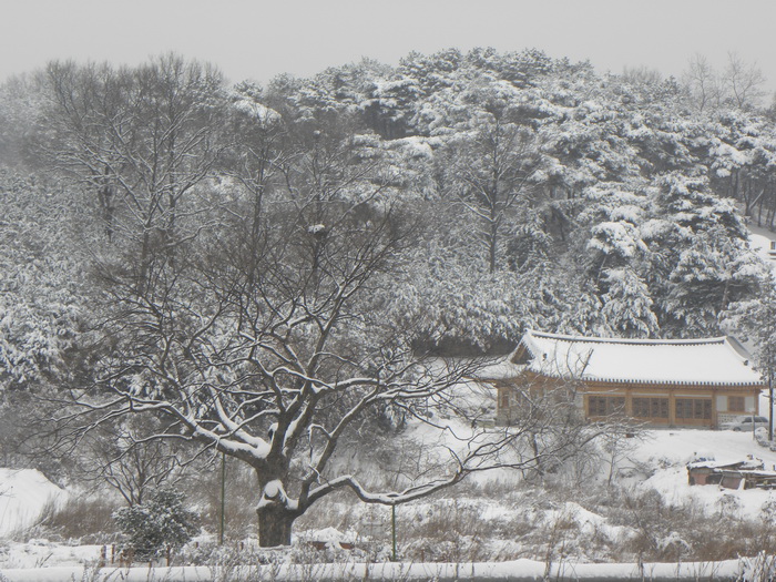 DSCN1297.JPG