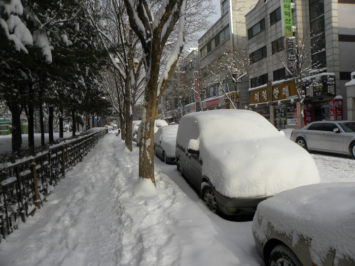 DSCN1311.JPG