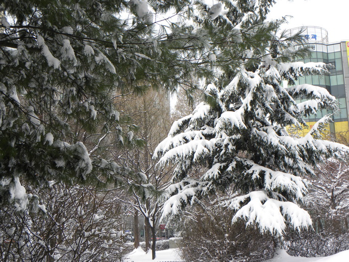 DSCN1313.JPG