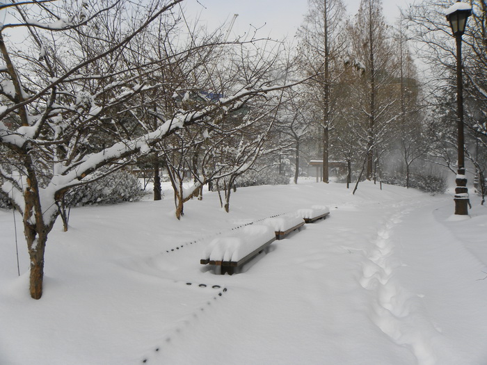 DSCN1317.JPG