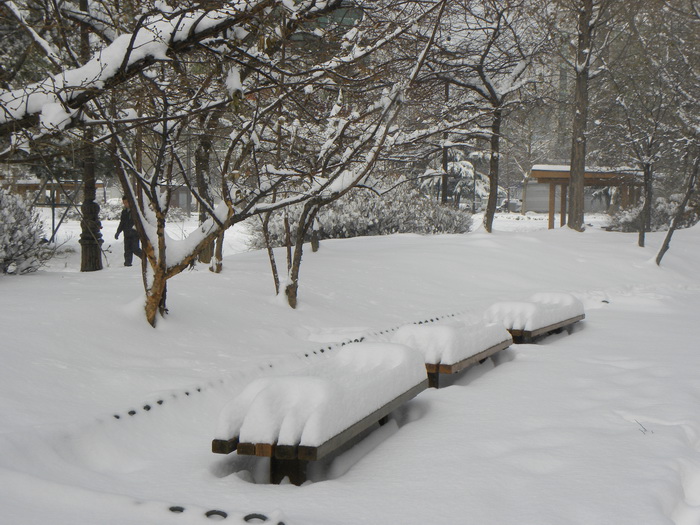 DSCN1318.JPG