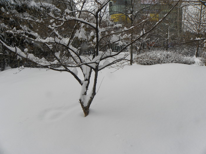 DSCN1321.JPG