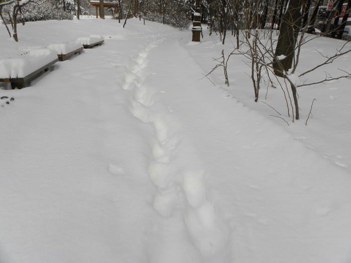 DSCN1322.JPG