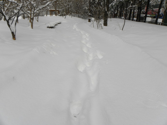 DSCN1324.JPG