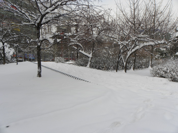 DSCN1325.JPG