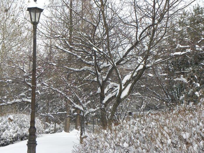 DSCN1329.JPG