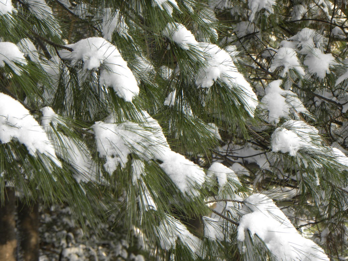 DSCN1330.JPG