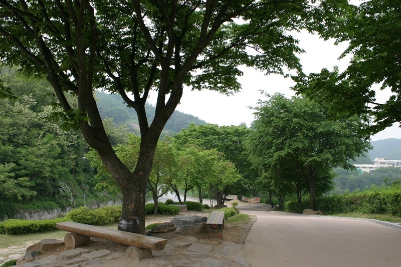 20080524-038.jpg