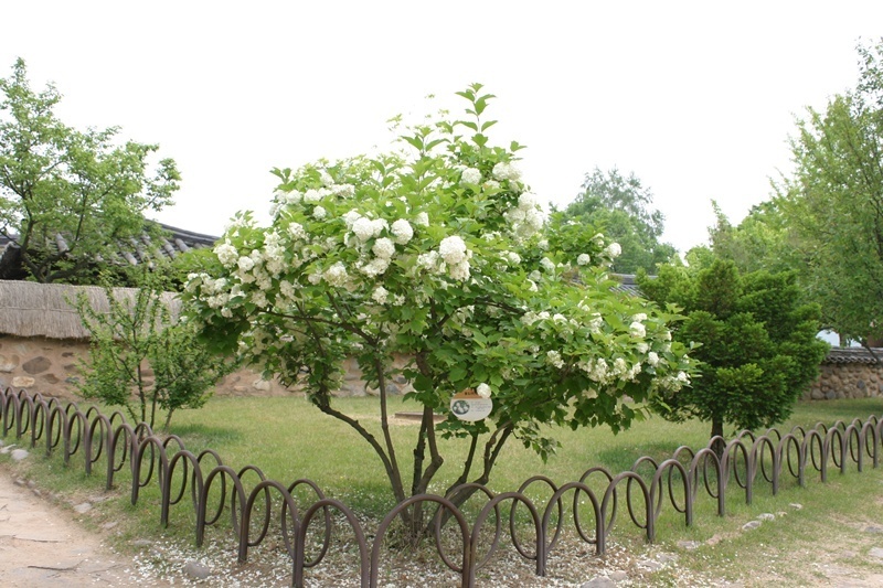 20080524-045.jpg