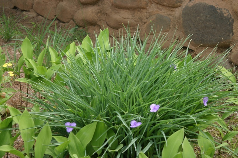 20080524-052.jpg