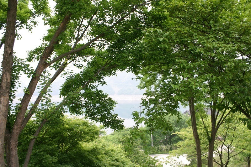 20080524-055.jpg