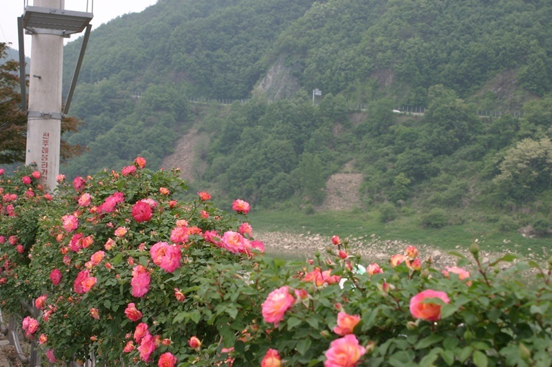 20080524-095.jpg