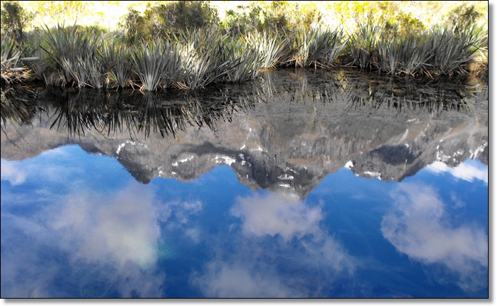 DSCF5394.JPG