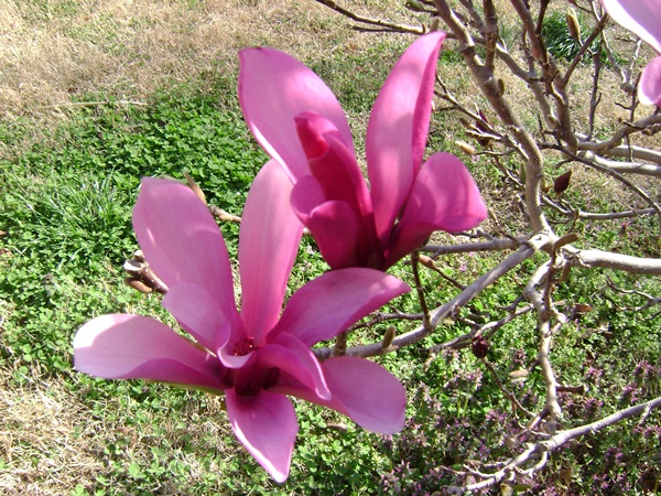 h-DSC03043.JPG