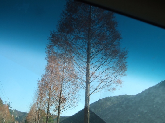 DSCF6275.JPG