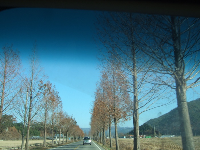 DSCF6281.JPG