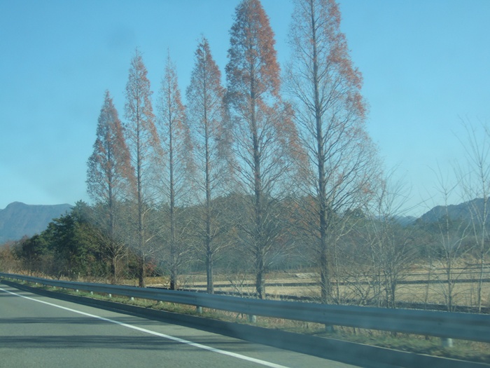 DSCF6287.JPG