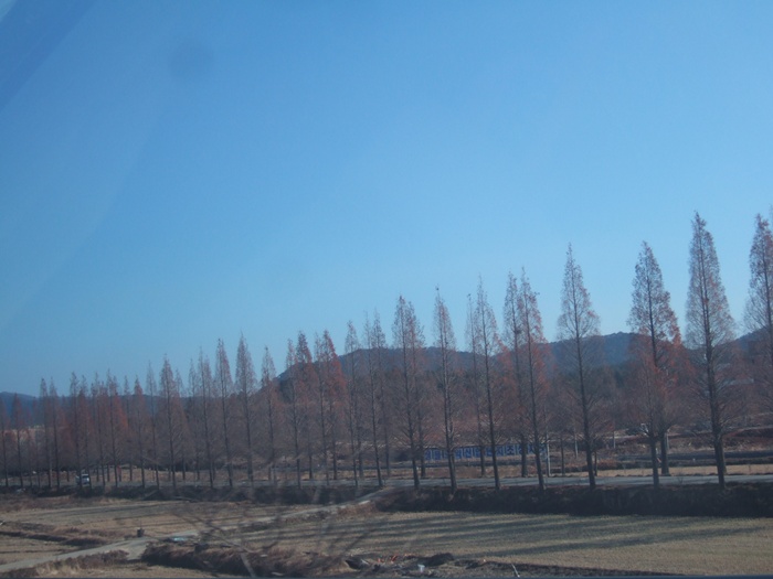 DSCF6288.JPG