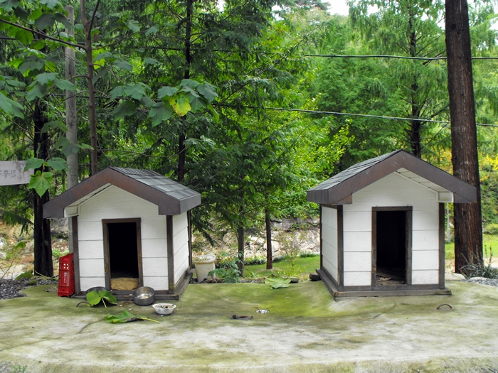 DSCF6960.JPG