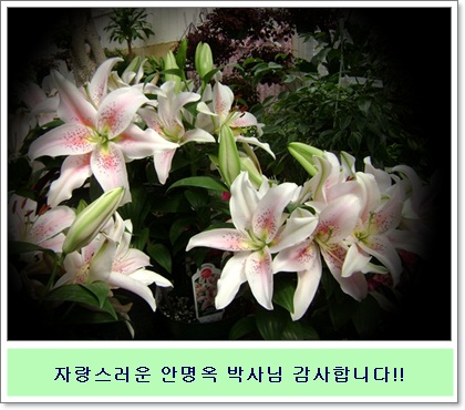 bb-DSC03690.JPG