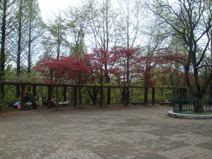 DSC03000.JPG