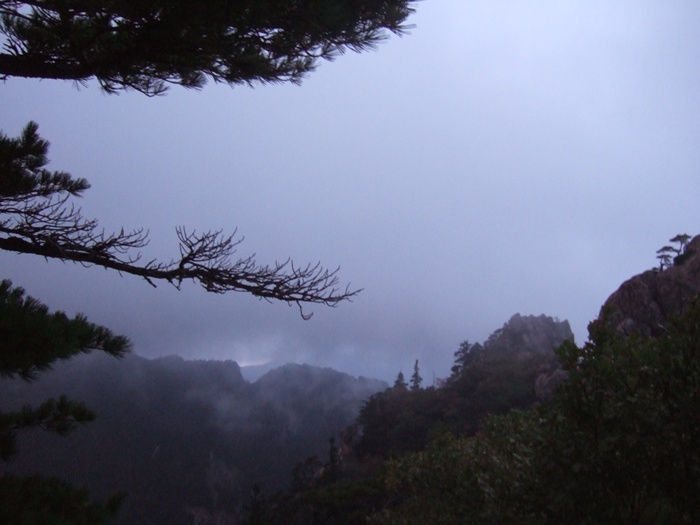 DSCF5613.JPG