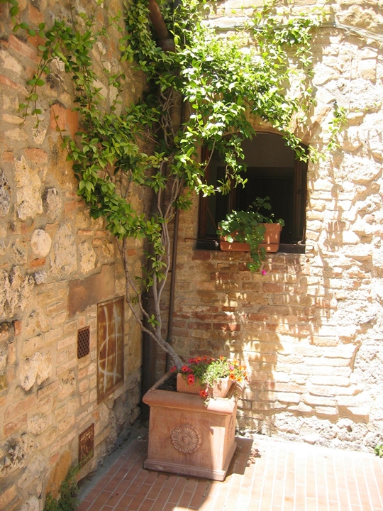 inil-6-IMG_7090.JPG