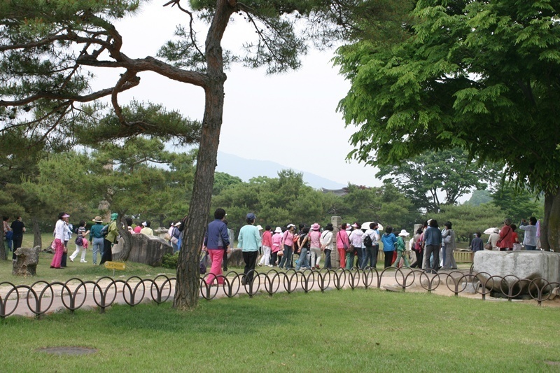 20080524-047.jpg